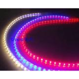 UVT-3528SMD-02
